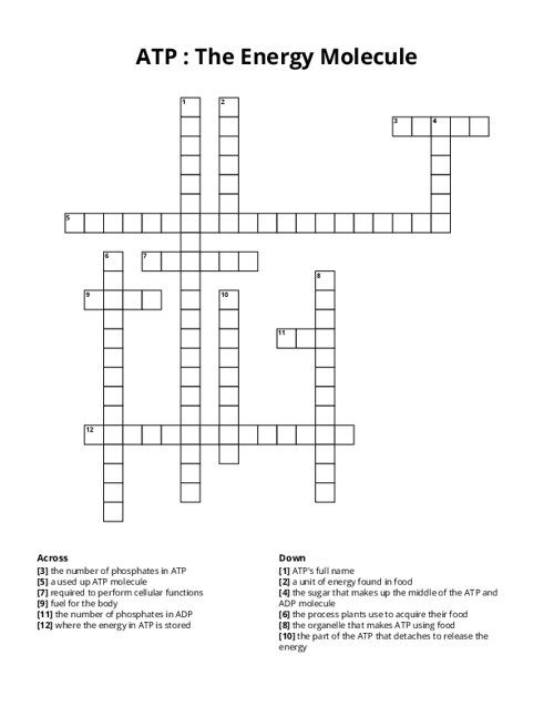 ATP : The Energy Molecule Crossword Puzzle