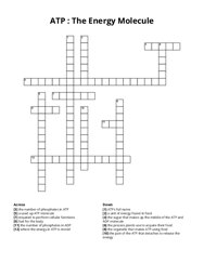 ATP : The Energy Molecule crossword puzzle