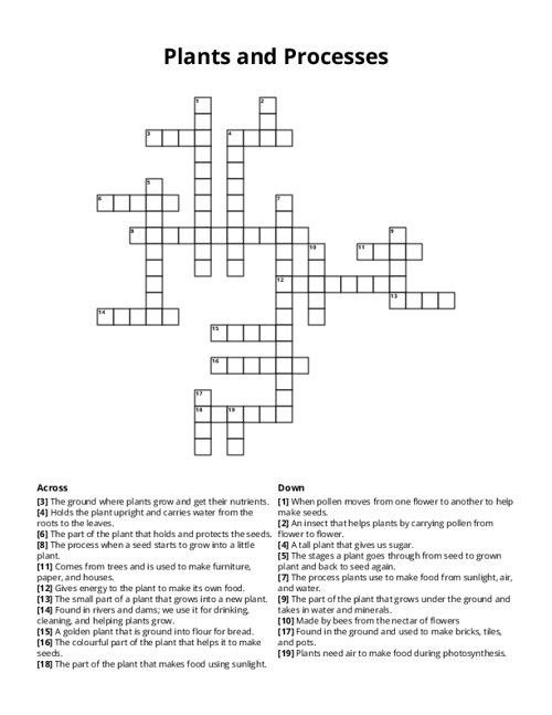 Plants and Processes Crossword Puzzle