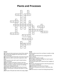 Plants and Processes crossword puzzle