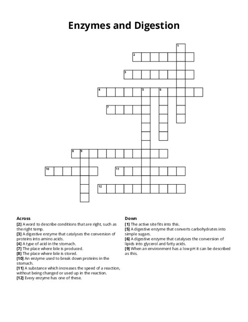 Enzymes and Digestion Crossword Puzzle