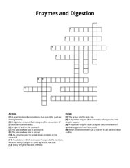 Enzymes and Digestion crossword puzzle