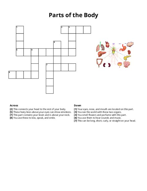 Parts of the Body Crossword Puzzle