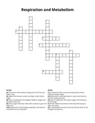 Respiration and Metabolism crossword puzzle