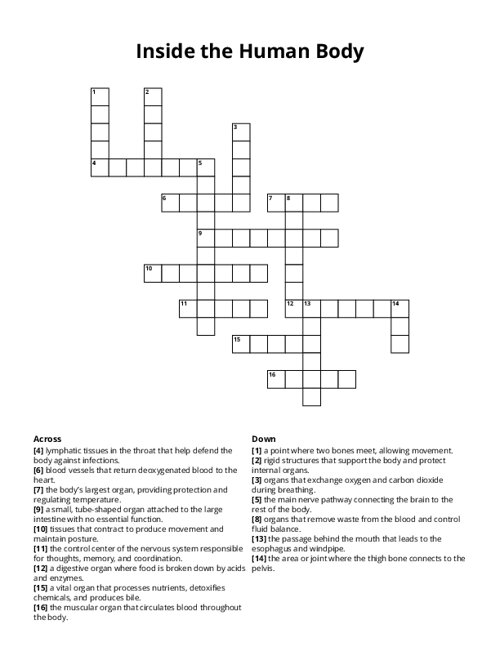 Inside the Human Body Crossword Puzzle