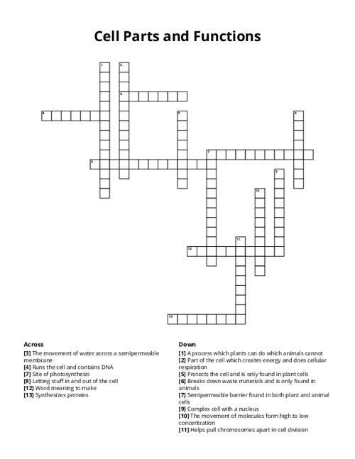 Cell Parts and Functions Crossword Puzzle