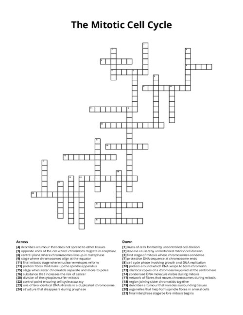 The Mitotic Cell Cycle Crossword Puzzle