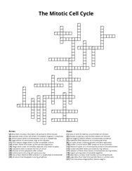 The Mitotic Cell Cycle crossword puzzle
