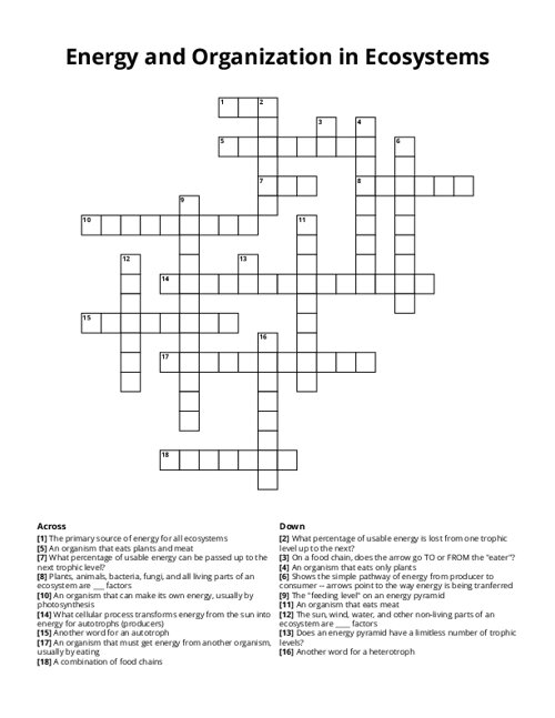 Energy and Organization in Ecosystems Crossword Puzzle