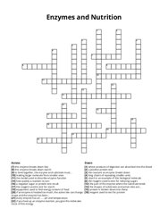 Enzymes and Nutrition crossword puzzle