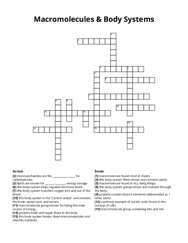 Macromolecules & Body Systems crossword puzzle