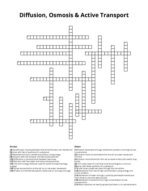 Diffusion, Osmosis & Active Transport Crossword Puzzle