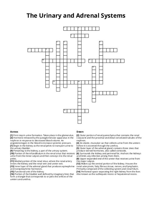 The Urinary and Adrenal Systems Crossword Puzzle