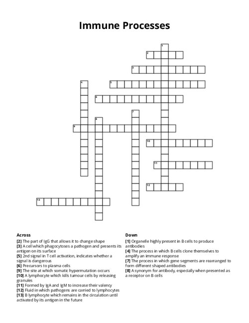 Immune Processes Crossword Puzzle