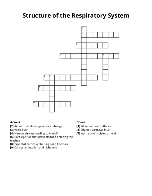 Structure of the Respiratory System Crossword Puzzle