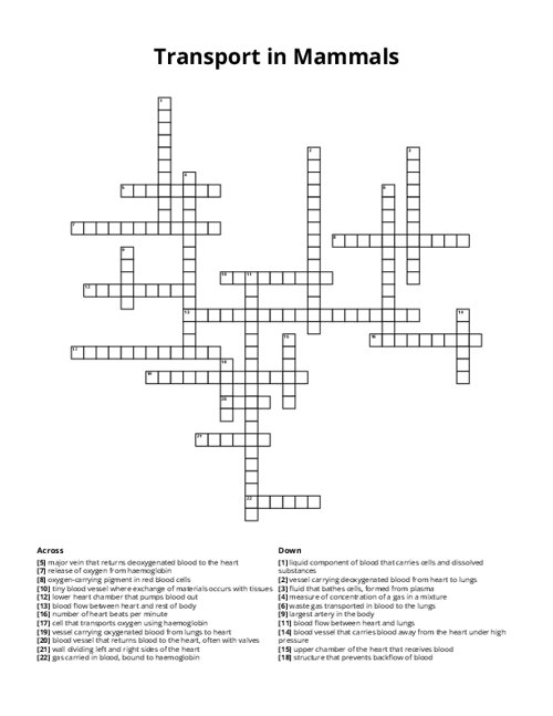 Transport in Mammals Crossword Puzzle