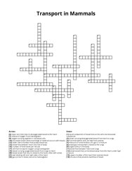 Transport in Mammals Crossword Puzzle