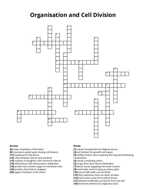 Organisation and Cell Division Crossword Puzzle