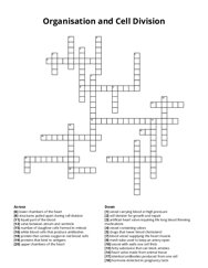 Organisation and Cell Division Crossword Puzzle
