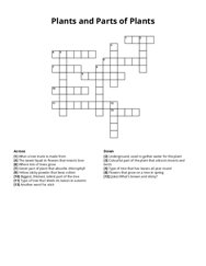 Plants and Parts of Plants crossword puzzle