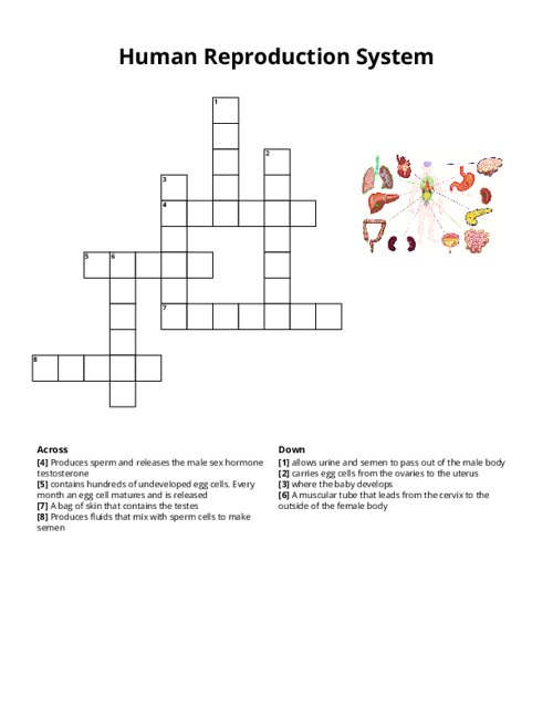 Human Reproduction System Crossword Puzzle