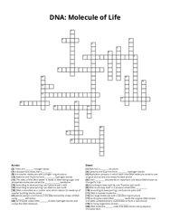 DNA: Molecule of Life Crossword Puzzle