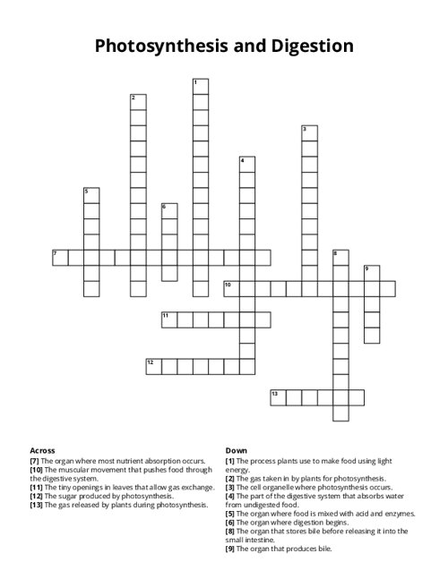 Photosynthesis and Digestion Crossword Puzzle