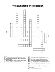 Photosynthesis and Digestion Crossword Puzzle