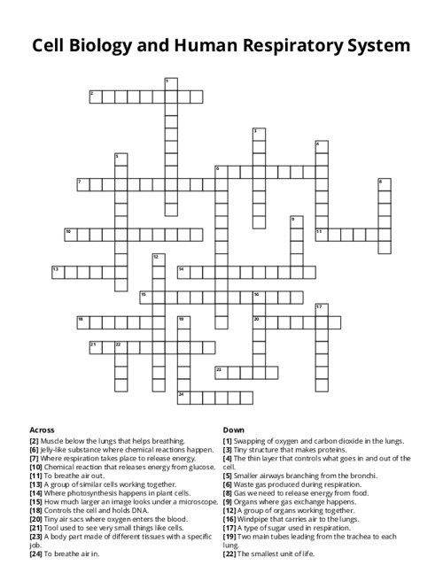 Cell Biology and Human Respiratory System Crossword Puzzle