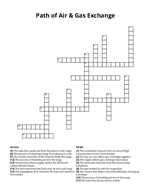 Path of Air & Gas Exchange Crossword Puzzle