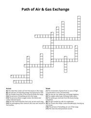 Path of Air & Gas Exchange Crossword Puzzle