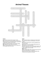 Animal Tissues Crossword Puzzle