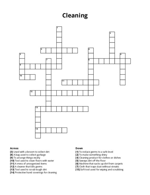Cleaning Crossword Puzzle