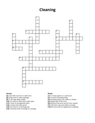 Cleaning Crossword Puzzle