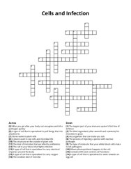 Cells and Infection crossword puzzle