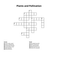 Plants and Pollination Crossword Puzzle