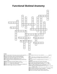 Functional Skeletal Anatomy Crossword Puzzle