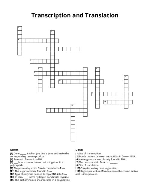 Transcription and Translation Crossword Puzzle