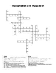 Transcription and Translation Crossword Puzzle