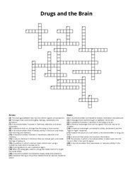 Drugs and the Brain Crossword Puzzle