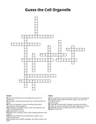 Guess the Cell Organelle Crossword Puzzle
