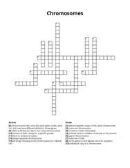 Chromosomes Crossword Puzzle