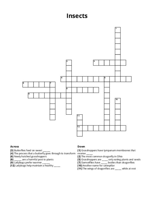 Insects Crossword Puzzle