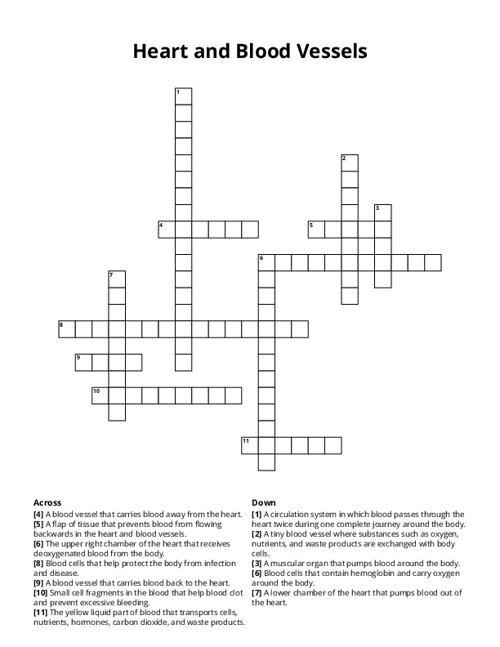 Heart and Blood Vessels Crossword Puzzle