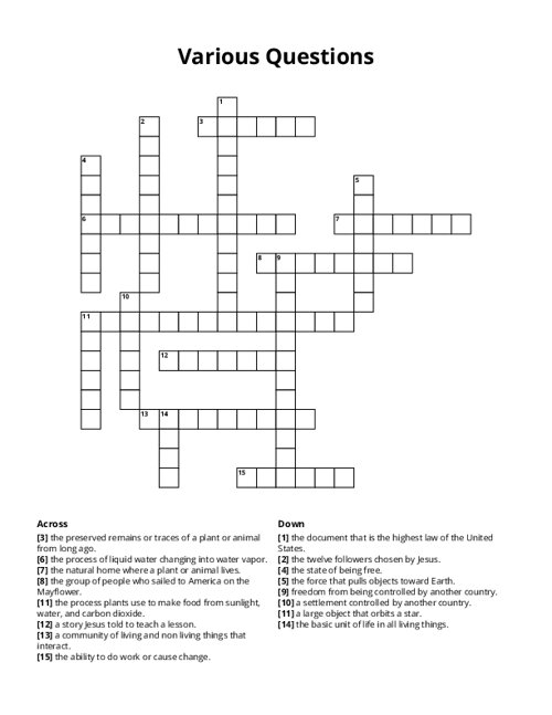 Various Questions Crossword Puzzle