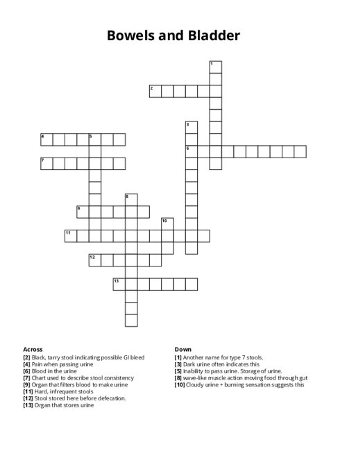 Bowels and Bladder Crossword Puzzle