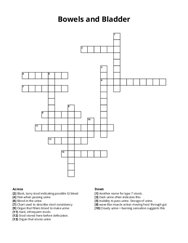 Bowels and Bladder Crossword Puzzle