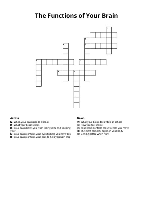 The Functions of Your Brain Crossword Puzzle