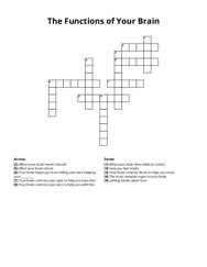 The Functions of Your Brain Crossword Puzzle