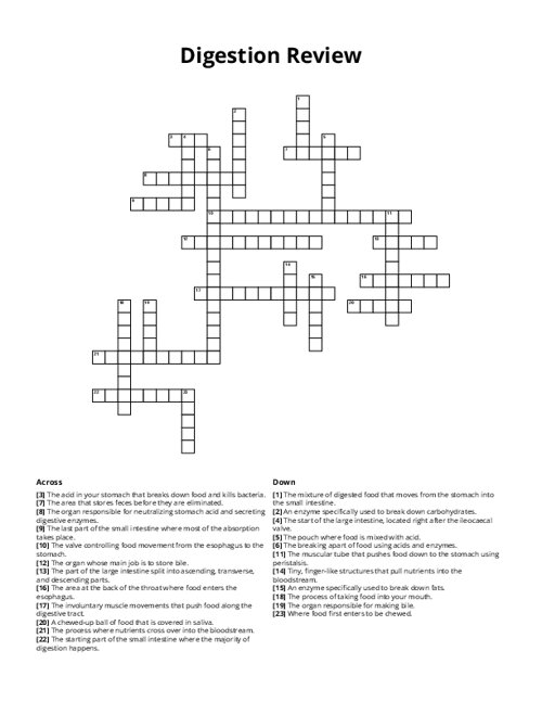 Digestion Review Crossword Puzzle